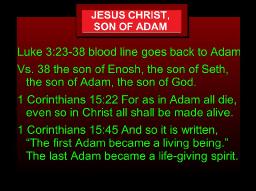 "ABOUT GENEALOGIES" BY ANDREW WOMMACK 