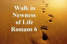 "SUGGESTIONS FOR A CHRISTIAN LIFE" BY DAVID MCMILLEN 