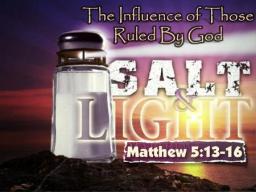 "SALT SHAKERS" BY ANDREW WOMMACK 