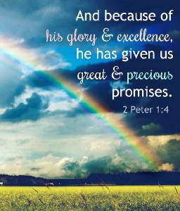 "GOD'S PROMISES" BY DAVID MCMILLEN 