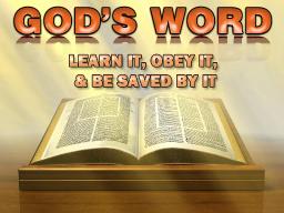 "BEING ROOTED IN GOD'S WORD" BY DAVID MCMILLEN  