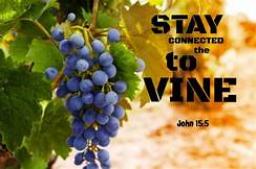 "BEING FRUITFUL" BY DAVID MCMILLEN 