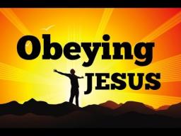 "WE MUST OBEY" BY DAVID MCMILLEN 