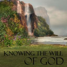 "KNOWING GOD'S WILL" BY DAVID MCMILLEN 