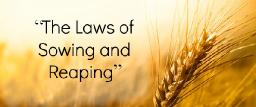 "MORE THAN JUST SOWING AND REAPING" BY ANDREW WOMMACK  