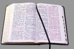 "GETTING ALL YOU CAN OUT OF THE BIBLE" BY DAVID MCMILLEN 
