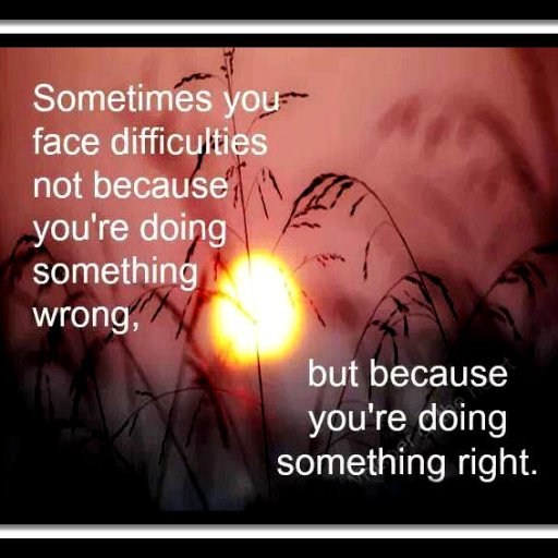 961b50b8cb23db472fe8efa439a70714