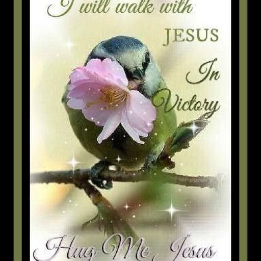 a4e6af07aae5ab83fa2691bc4ca09e81