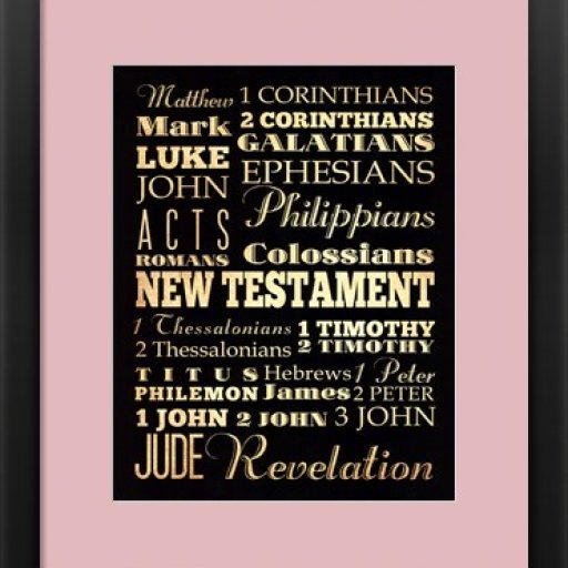 new-testament-framed-art-print (3)