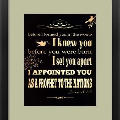 appointed-framed-art-print (2)
