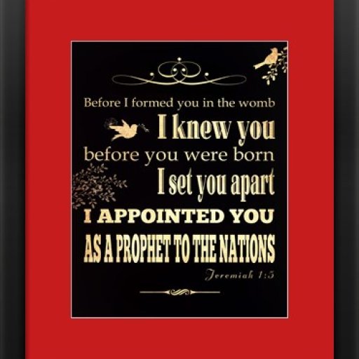 appointed-framed-art-print