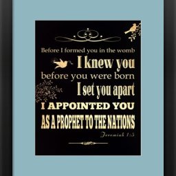 appointed-framed-art-print (1).jpg