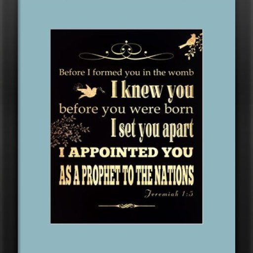appointed-framed-art-print (1)