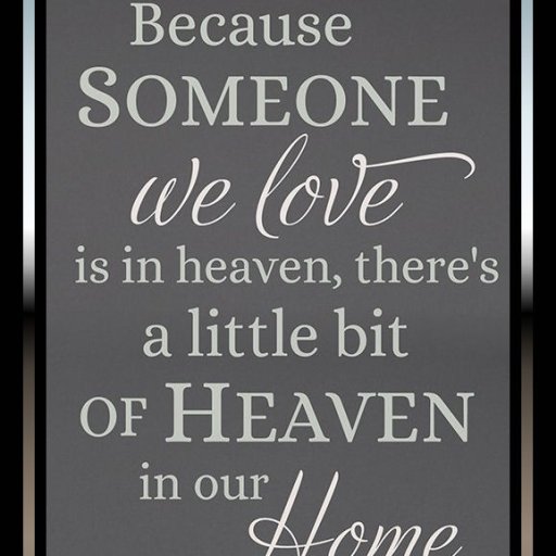 61bWqxBh7sL._SL1200_