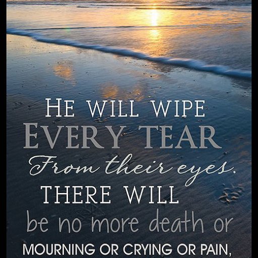 71RBVQ2qDFL._SL1200_