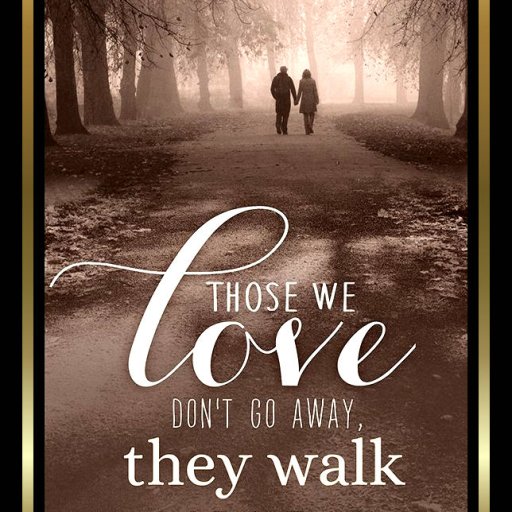 713JFxIewGL._SL1200_