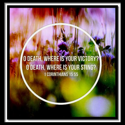 6f200c144e979da61daf1efe71ac3bda