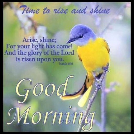 7e22bbdc2f529568657ba531c03b6a81