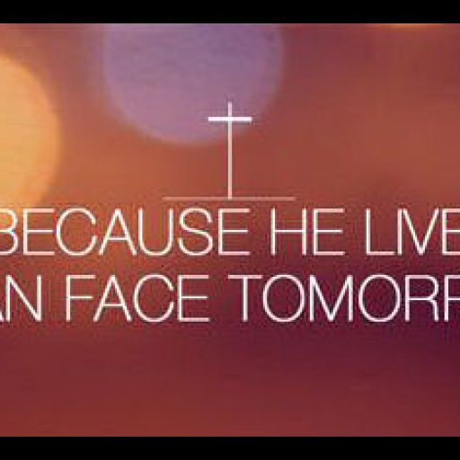 7641f04dbce9ff7e7aeafb7e6eeb996f