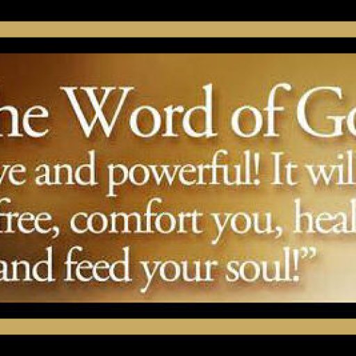 8086ee2f0b9f6a8dd747cc44ec230334