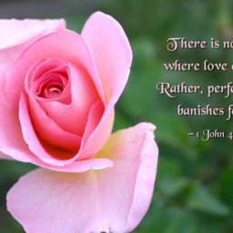 unconditional-love-bible-quotes.jpg