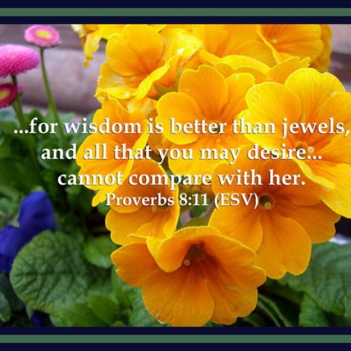 wisdom-flowers