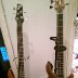 bass sisters