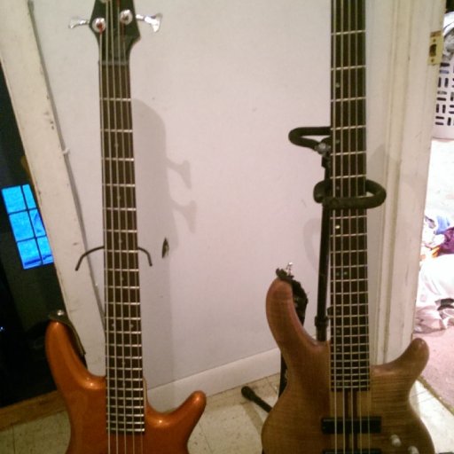 bass sisters