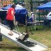 Sandi Sled