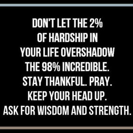 44cf2a3927cf4b0d185714a8528fd5e3