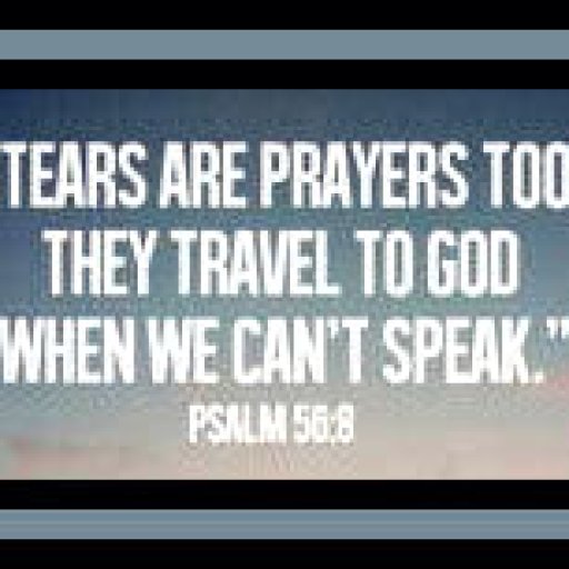 393f4769f91d362331beac2ae69980c8