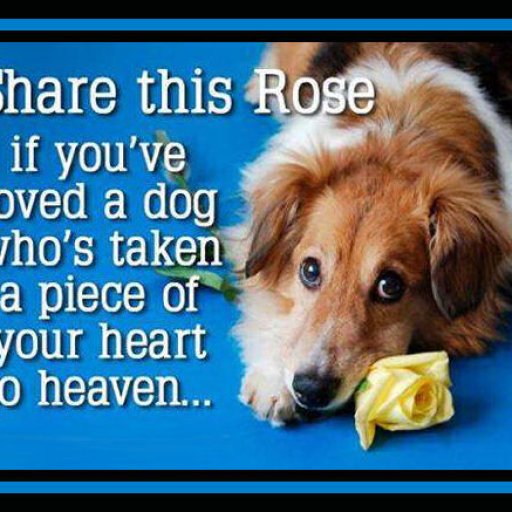 10665673_788050904569881_1411348048545914525_n