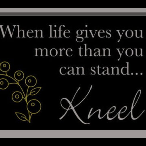 3cece433c380293e1301dbd8f8daa751