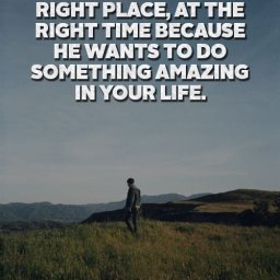 83ada2d4cf1580e3b31aeca5d918a786.jpg