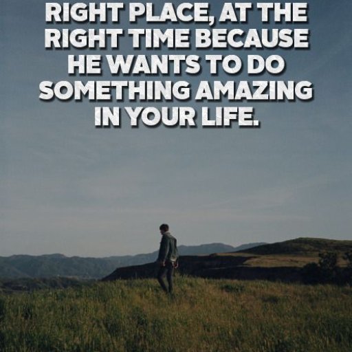 83ada2d4cf1580e3b31aeca5d918a786