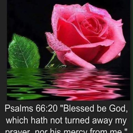 10364119_1526319301005859_5773602581541382399_n