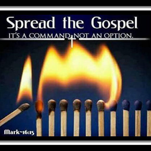 12002130_1472824596355330_900846362481436071_n