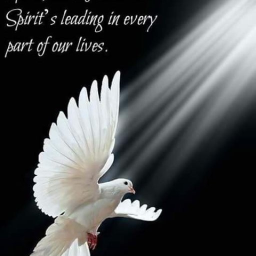 12088119_1480657028905420_8896335232343304702_n