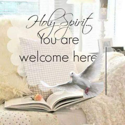 12240147_1529895923981530_9161400510921204886_n