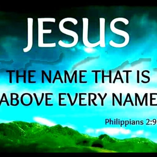 10313709_1496495557321567_4518348262149437842_n