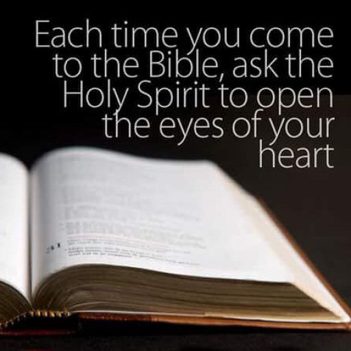 12439119_1534152366889219_489685564081993300_n