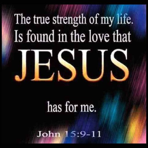 12512270_1516768381960951_3775617135832503310_n