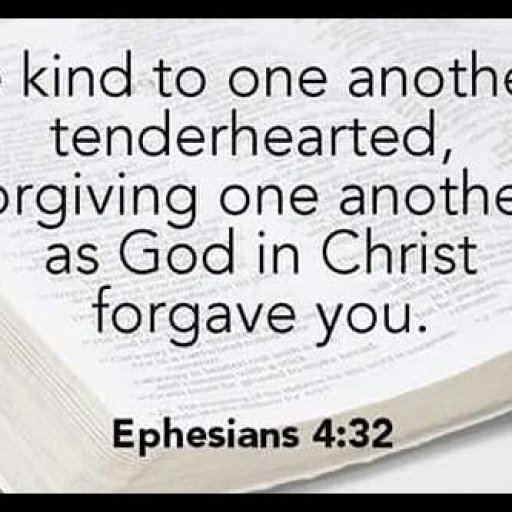 12669489_1509078142729975_1933619365827862512_n