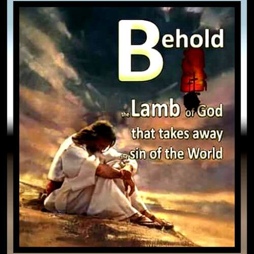 12670072_1511186782519111_8899653884995006996_n