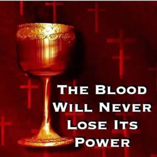 13043650_1537855396518916_8440636206031578128_n