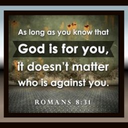 7bd13a06dff42dccad97a562a9bdb483.jpg
