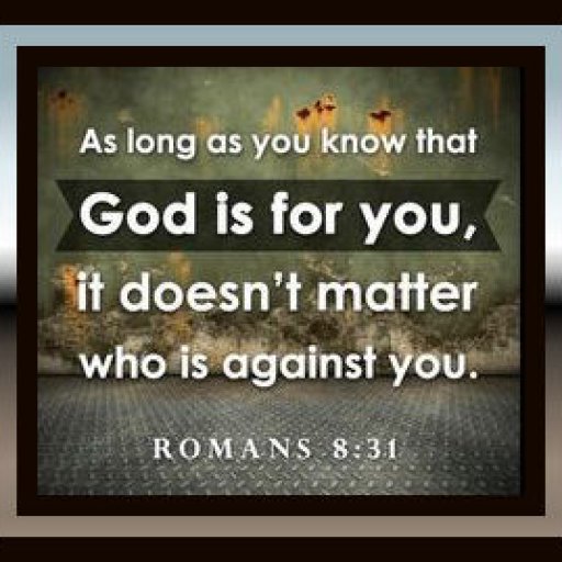 7bd13a06dff42dccad97a562a9bdb483