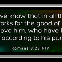 romans-8-28.jpg