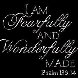150512I_am_Fearfully_and_Wonderfully_made_Version_2__85980.1431880528.380.380.jpg
