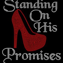 160322Standing_on_his_Promises__44325.1459135672.380.380.jpg